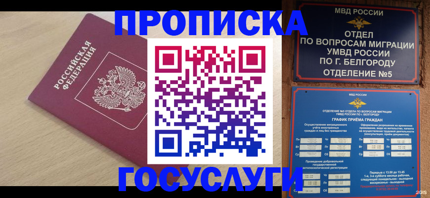 прописка законно в Кимовске